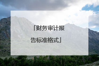 财务审计报告标准格式