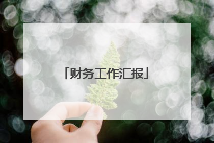 财务工作汇报
