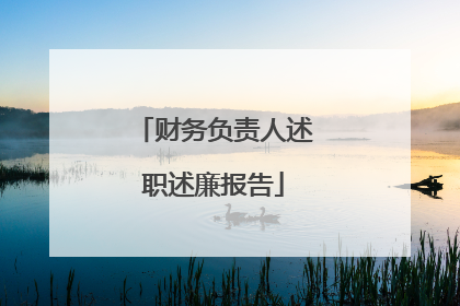 财务负责人述职述廉报告