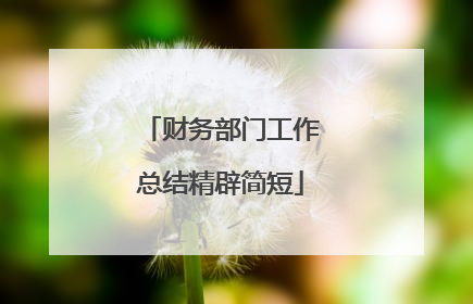 财务部门工作总结精辟简短