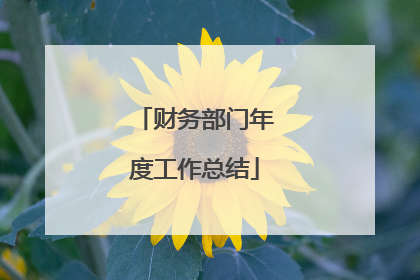 财务部门年度工作总结