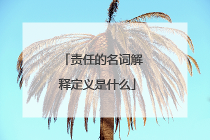 责任的名词解释定义是什么