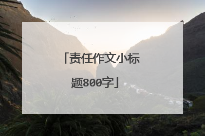 责任作文小标题800字