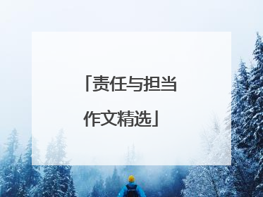 责任与担当作文精选