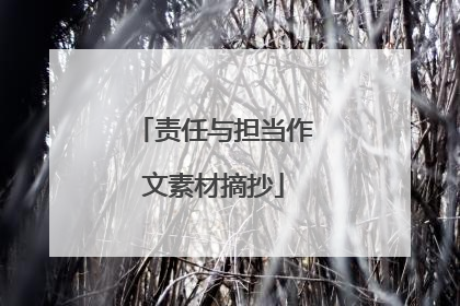 责任与担当作文素材摘抄