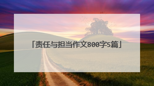 责任与担当作文800字5篇