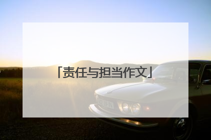 责任与担当作文