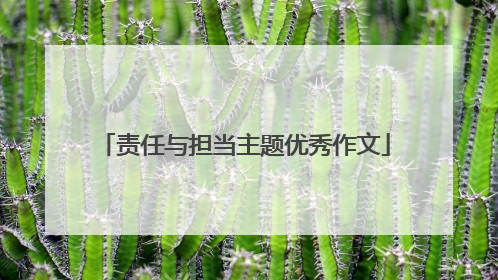 责任与担当主题优秀作文