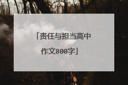 责任与担当高中作文800字