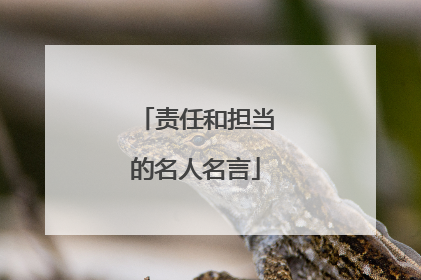 责任和担当的名人名言