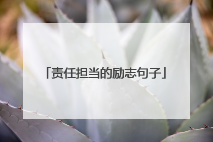 责任担当的励志句子