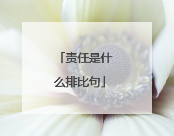 责任是什么排比句