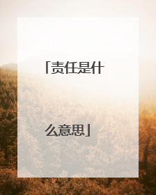 责任是什么意思