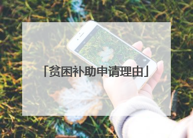 贫困补助申请理由