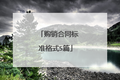 购销合同标准格式5篇