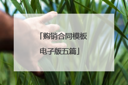 购销合同模板电子版五篇