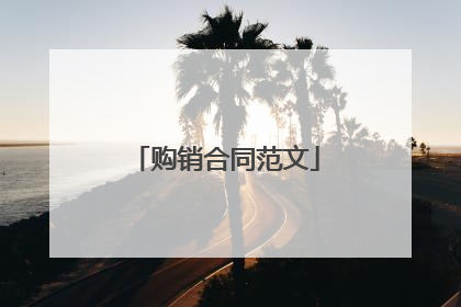 购销合同范文