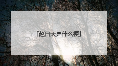 赵日天是什么梗
