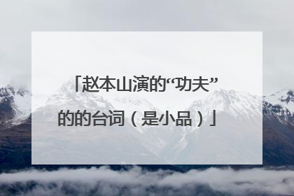 赵本山演的“功夫”的的台词（是小品）