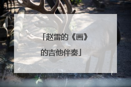 赵雷的《画》的吉他伴奏