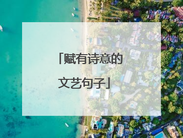 赋有诗意的文艺句子