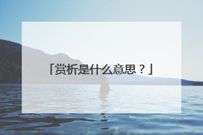 赏析是什么意思?