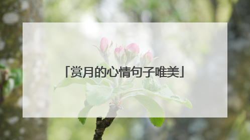 赏月的心情句子唯美