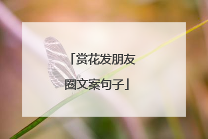 赏花发朋友圈文案句子