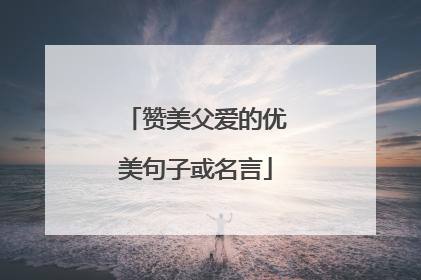 赞美父爱的优美句子或名言
