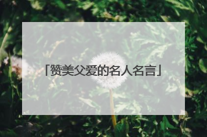 赞美父爱的名人名言
