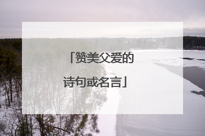 赞美父爱的诗句或名言