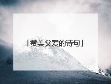 赞美父爱的诗句