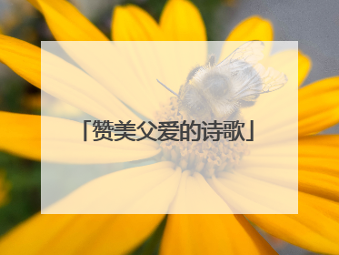 赞美父爱的诗歌