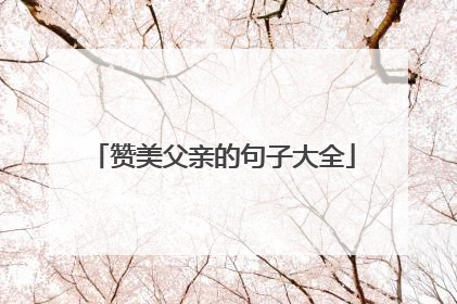 赞美父亲的句子大全