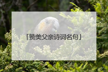 赞美父亲诗词名句