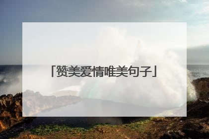 赞美爱情唯美句子