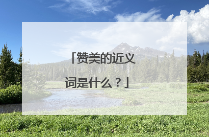 赞美的近义词是什么？