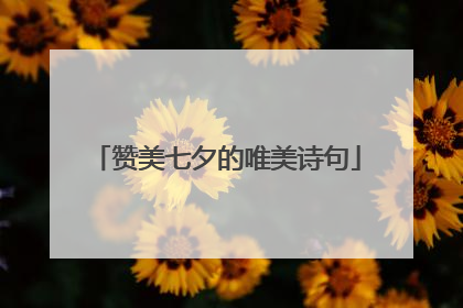 赞美七夕的唯美诗句