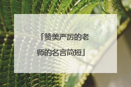 赞美严厉的老师的名言简短