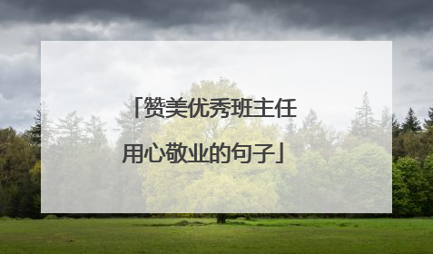 赞美优秀班主任用心敬业的句子