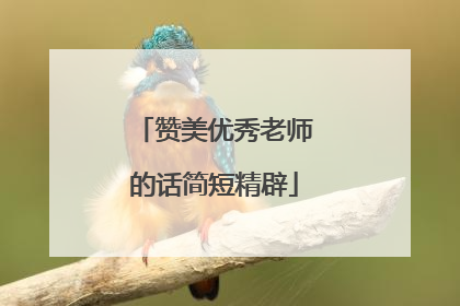 赞美优秀老师的话简短精辟
