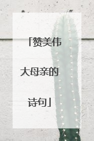 赞美伟大母亲的诗句