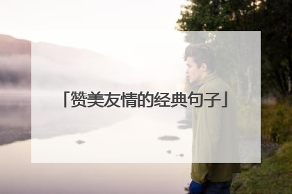 赞美友情的经典句子