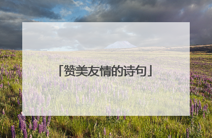 赞美友情的诗句