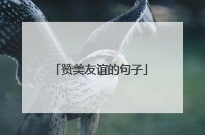 赞美友谊的句子