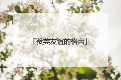 赞美友谊的格言