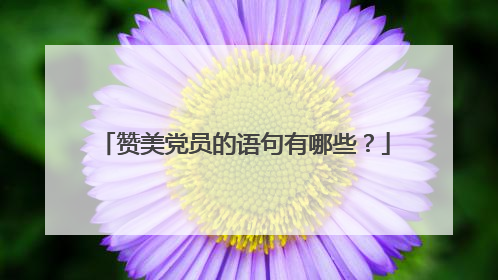赞美党员的语句有哪些？