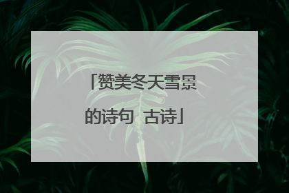 赞美冬天雪景的诗句 古诗