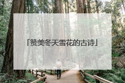 赞美冬天雪花的古诗