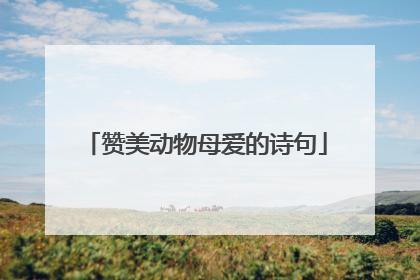 赞美动物母爱的诗句